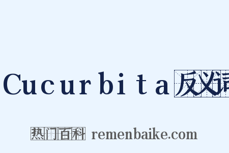 Cucurbita反义词是什么意思的图片